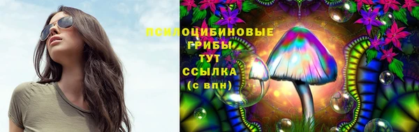 гидра Абаза