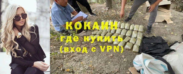 гидра Абаза