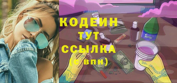 гидра Абаза