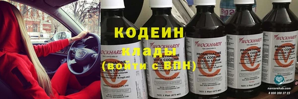гидра Абаза
